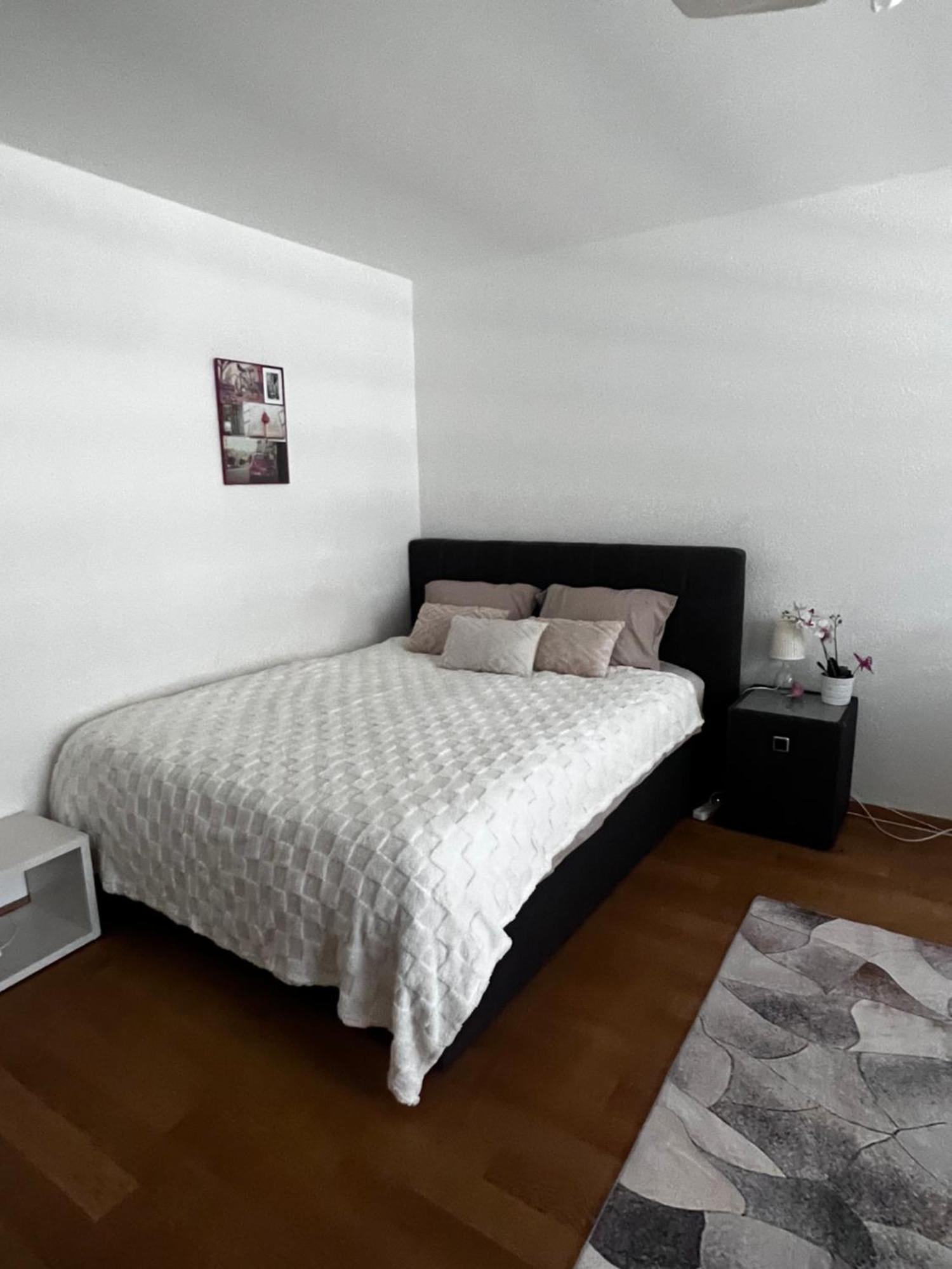 Apartments In Bern - Green Relax Eksteriør bilde