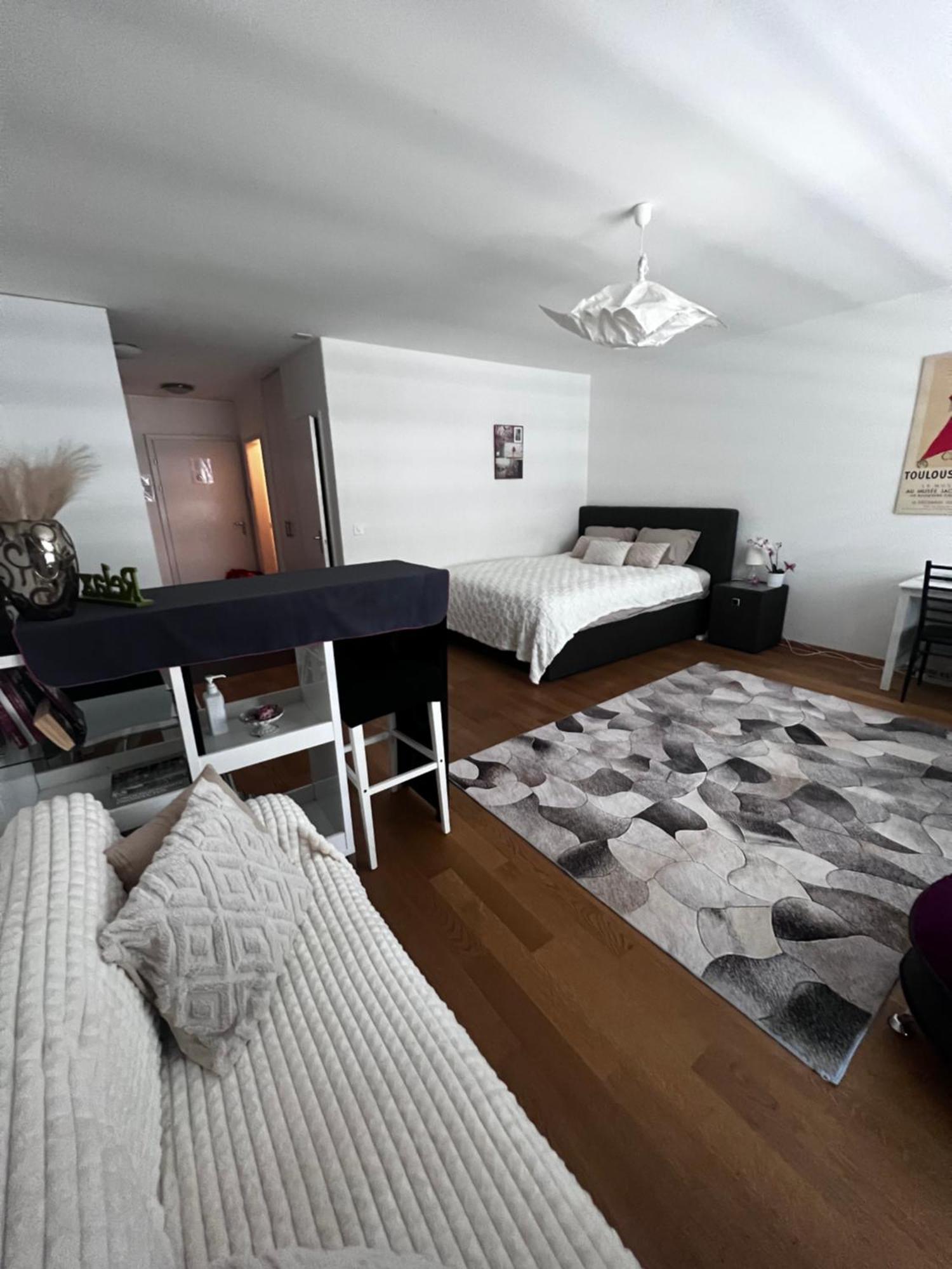 Apartments In Bern - Green Relax Eksteriør bilde